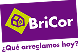 logo bricor